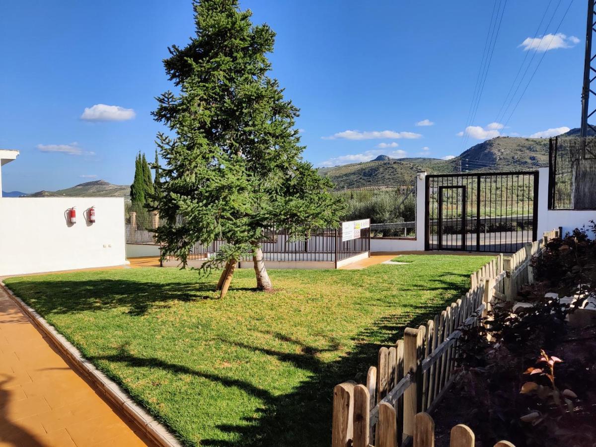Apartamento Rural Villa Aurora Luque Exterior photo