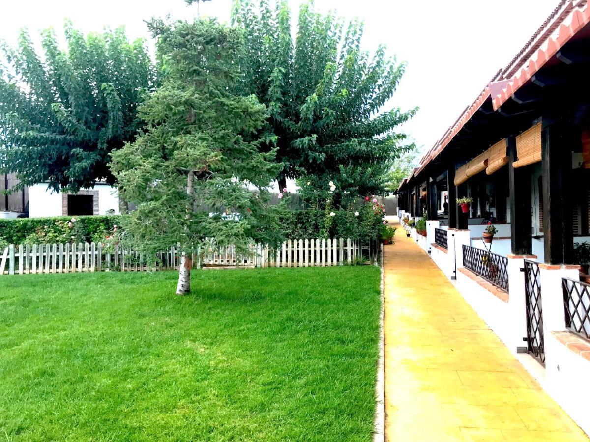 Apartamento Rural Villa Aurora Luque Exterior photo
